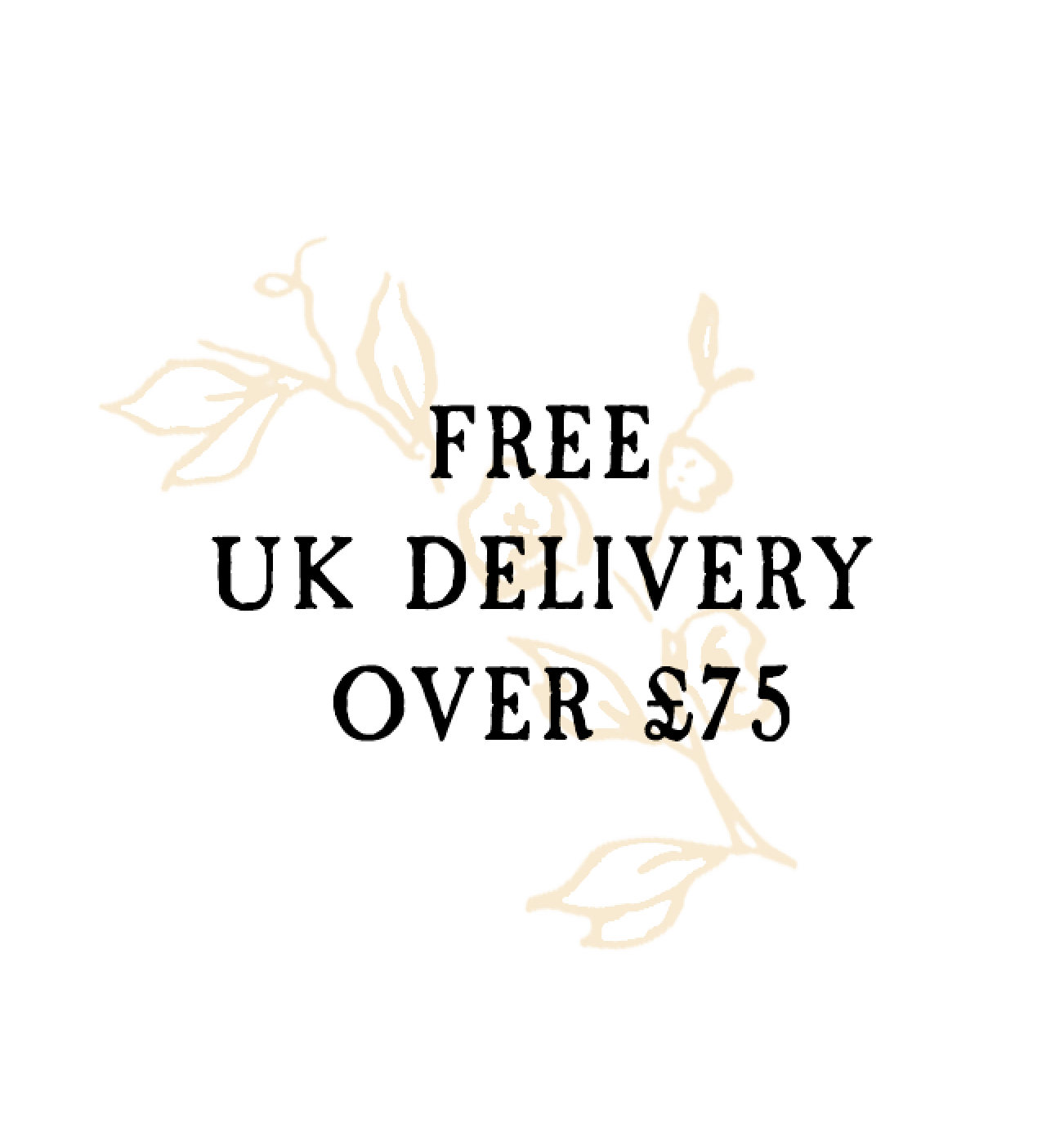 free_uk delivery icon