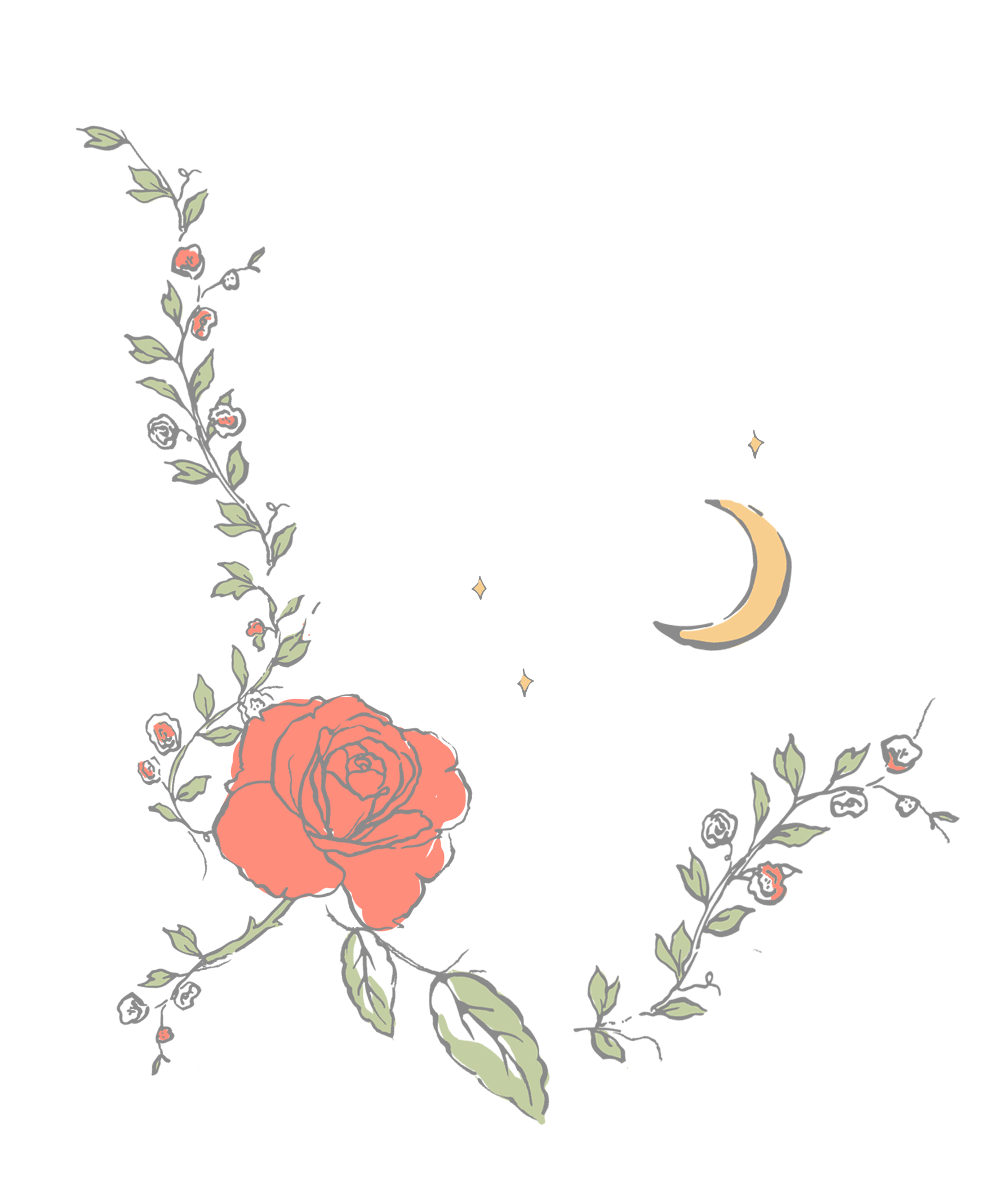 Illustration of rose, leave and moon